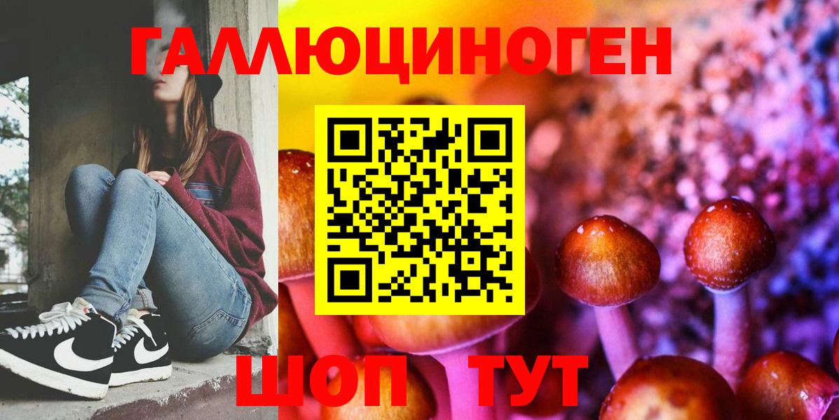 Выборг  что такое наркотик  Вход с VPN  Псилоцибиновые грибы прущие грибы 