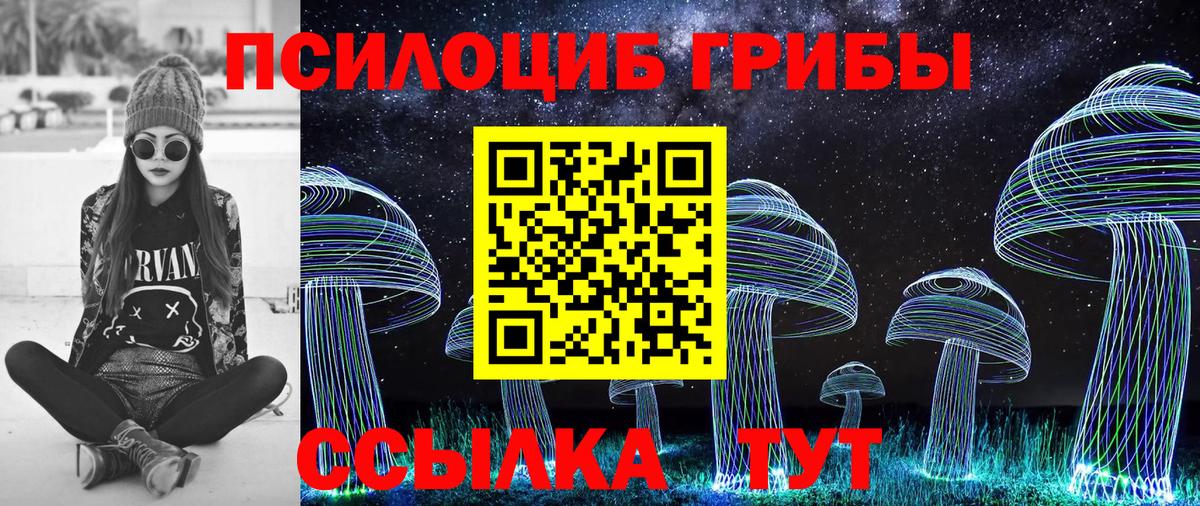 Псилоцибиновые грибы ЛСД Выборг